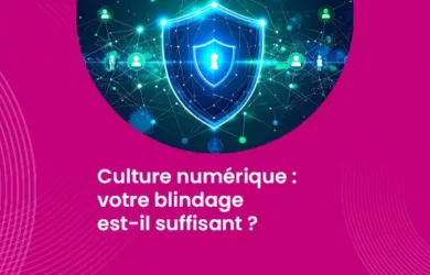 Culture numérique - votre blindage est-il suffisant ?_IMG_blog_unovia